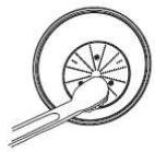 BRANDT CEN-700 - Cleaning the juicer - 5