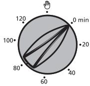 BRANDT OH311XU1 - The timer - 2