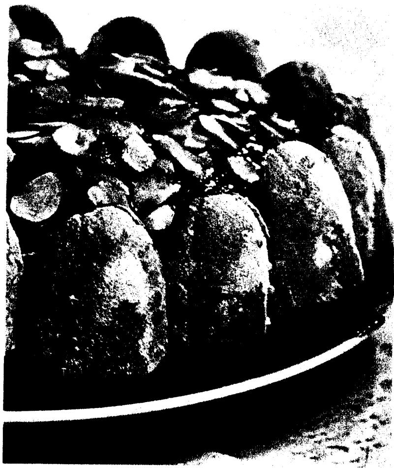 SEB CAFETIERE MOKA - GATEAU AU CAFÉ - 1
