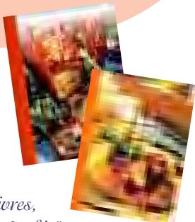 SEB RECETTES GUIDE CUISSON DOUCE - les recettes de Sophie - 1