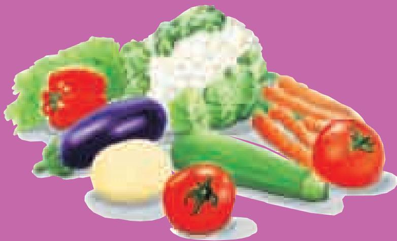 SEB RECETTES GUIDE CUISSON DOUCE - Manger sain, manger bon, oui, aVEC plaisir! - 1