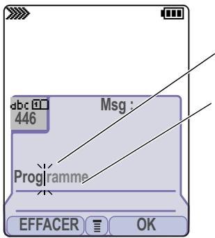 abc 446 Msg : Programme EFFACER OK
