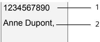 SIEMENS GIGASET S455 - Affichage du numéro et du nom de l'appelant - 1