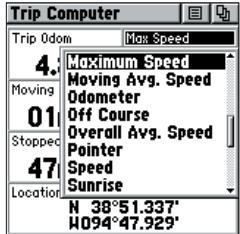 GARMIN RINO 130 - VUE D'ENSEMBLE DE LA PAGE TRIP COMPUTER (ORDINATEUR DE BORD) - 1