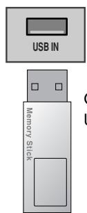 LG M237WDP - Raccordement d'un périphérique USB - 1