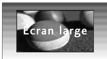 LG M237WDP - - Écran large - 1