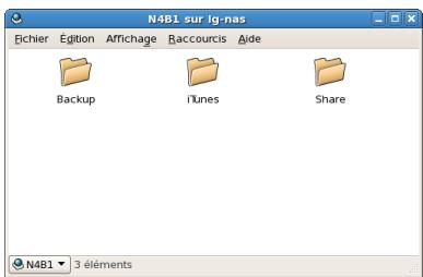 LG N4B1N - Accédez dans l'OS de Linux - 6
