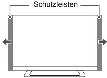 Schutzleisten