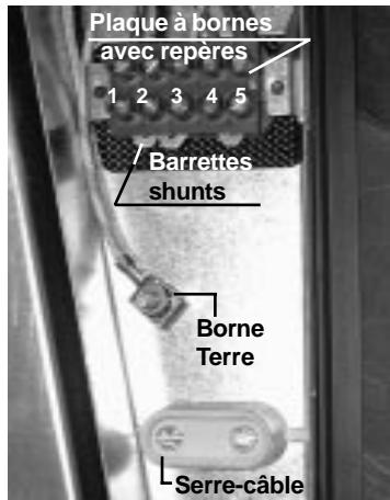 LA TABLE VITROCÉRAMIQUE À MANETTES "PVK" 2