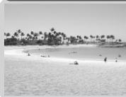 NIKON COOLPIX 2000 - Plage/Neige - 1