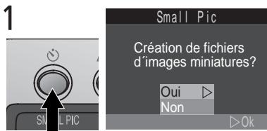 NIKON COOLPIX 2000 - Création d'une petite copie de l'image : L'options Petitimage - 1