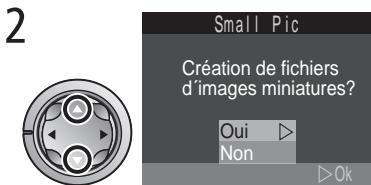 NIKON COOLPIX 2000 - Création d'une petite copie de l'image : L'options Petitimage - 2
