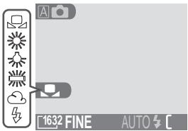 NIKON COOLPIX 2000 - Restitution fidèle des couleurs : L'option Balance des blancs - 2