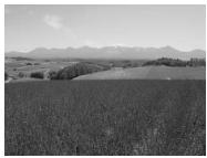 NIKON COOLPIX 5600 - CADRAGE VERTICAL - 2
