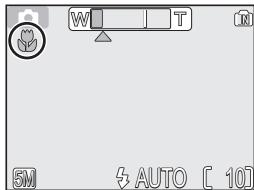 NIKON COOLPIX 5600 - Réaliser des gros plans en toute simplicité : mode Macro - 5