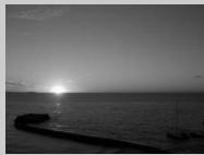 NIKON COOLPIX 2200 - Icône 🏠 (bougé d'appareil) - 11