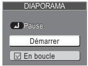 NIKON COOLPIX 2200 - «En boucle» - 1