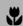 NIKON COOLPIX 2200 - Groupe sur la gauche - 3