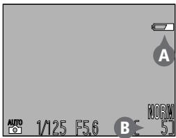 NIKON COOLPIX 4500 - Vérifiez les indicateurs sur le moniteur - 1