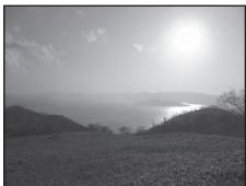 NIKON COOLPIX P310 - SCENE Contre-jour - 2