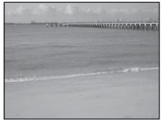 NIKON COOLPIX P310 - SCENE Plage - 1