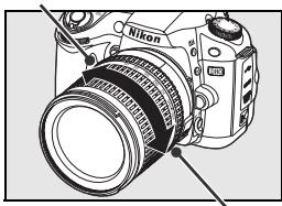 NIKON D80 - Utilisation du zoom - 1