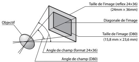 NIKON D80 - Angle de champ et focale - 1