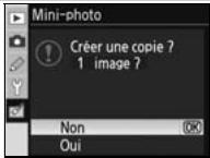 NIKON D80 - Mini-photo - 15