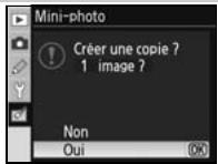NIKON D80 - Mini-photo - 17