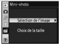NIKON D80 - Mini-photo - 9