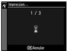 NIKON D90 - Lancez l'impression. - 2