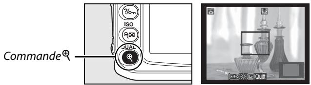 NIKON D90 - Vérifier la vue sur le moniteur. - 1