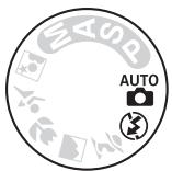 NIKON D90 - Photographie « Visez, photographiez » (Modes AUTO et ⓑ) - 1
