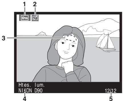 NIKON D90 - Histogrammes - 2