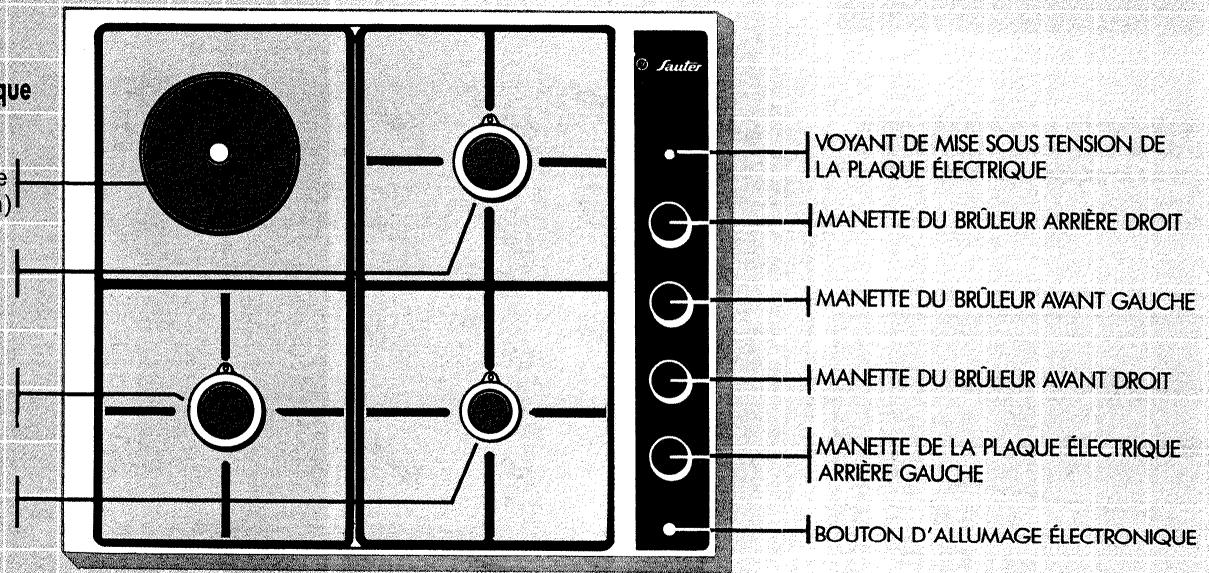 SAUTER G4400S1 - FEUX GAZ - 2