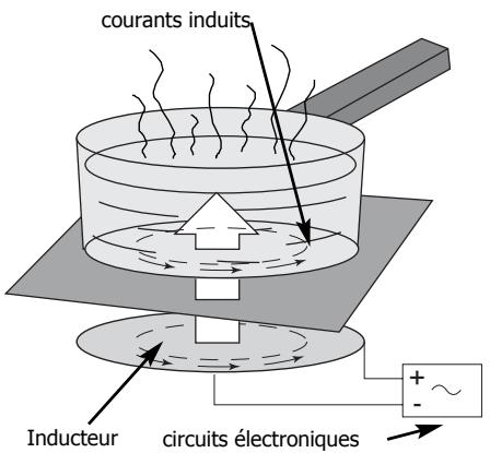 SAUTER STI462BF1 - Principe de l'induction - 1