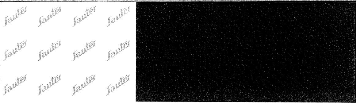 SAUTER T4600R RETRO - 3