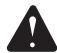 RYOBI RBC30SESA - Thank you for buying a Ryobi trimmer/brushcutter. - 1
