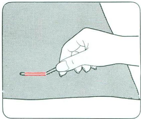 TOSHIBA 2640 - Boutonnières au cordonnet - 2