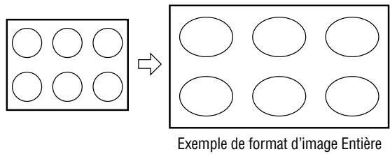 Exemple de format d'image Entière