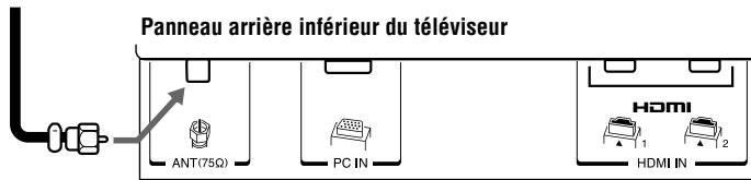 Panneau arrière inférieur du téléviseur ANT(75Ω) PC IN HDMI 1 2 HDMI IN