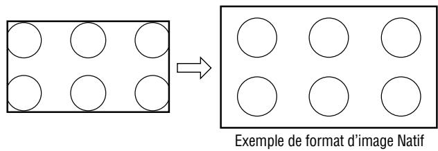 Exemple de format d'image Natif