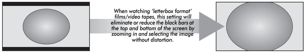 TOSHIBA AV505D - Widescreen viewing - 3