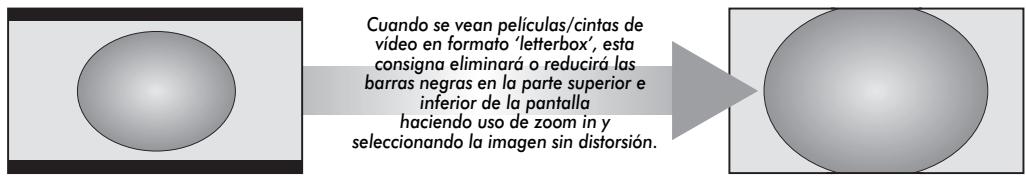 TOSHIBA AV505D - Viendo TV en pantalla ancha - 3