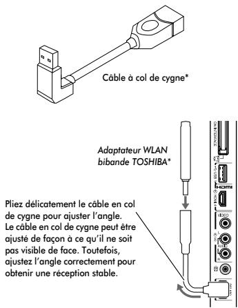 Câble à col de cygne* Adaptateur WLAN bibande TOSHIBA* Pliez délicatement le câble en col de cygne pour ajuster l'angle. Le câble en col de cygne peut être ajusté de façon à ce qu'il ne soit pas visible de face. Toutefois, ajustez l'angle correctement pour obtenir une réception stable.