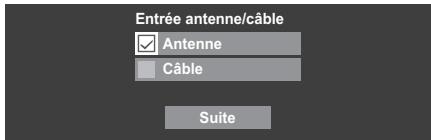 Entrée antenne/câble Antenne Câble Suite