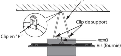 Clip en ' P ' Clip de support Vis (fournie)