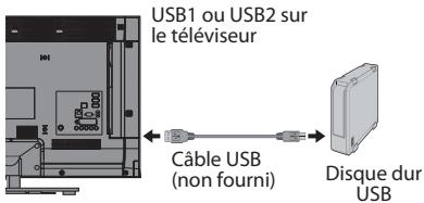 TOSHIBA TL938 - Pour connecter un disque dur USB (non fourni) - 1