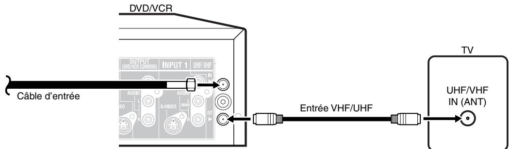 TOSHIBA D-VR6 - Connexions de câblodistribution - 1