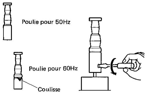 Poulie pour 50Hz Poulie pour 60Hz Coulisse